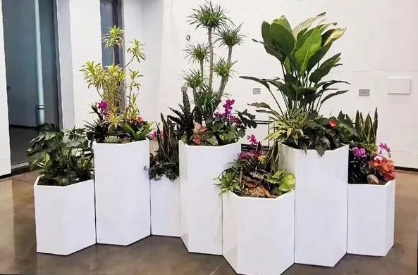 怎么搭建制作一個(gè)園藝類，景觀，綠植方面的網(wǎng)站？